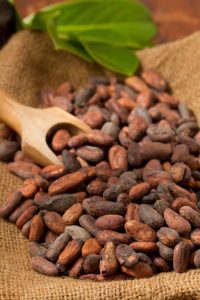 feves de cacao azteque