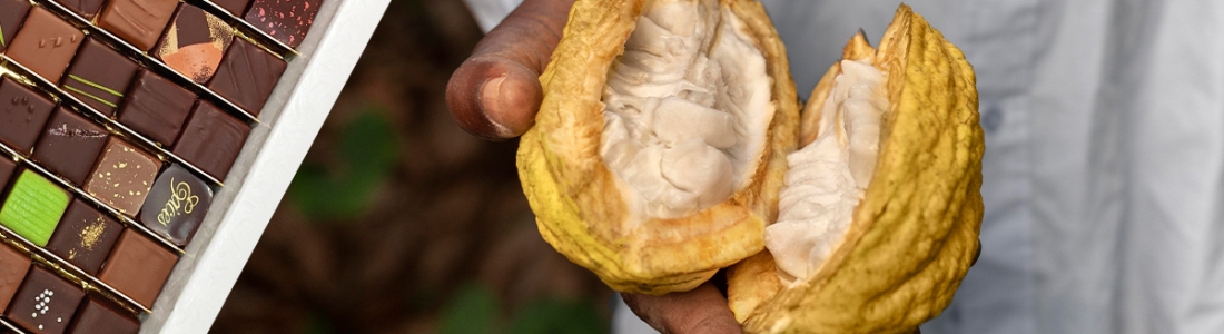 D’où vient le chocolat de La Bonbonnière ?