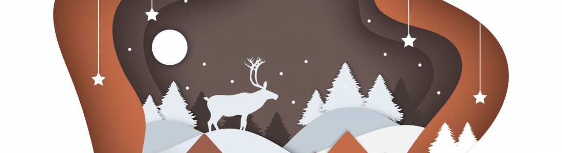 Les bûches de Noël 2019 La Bonbonnière
